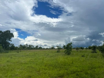 Farm & Agricultural Land